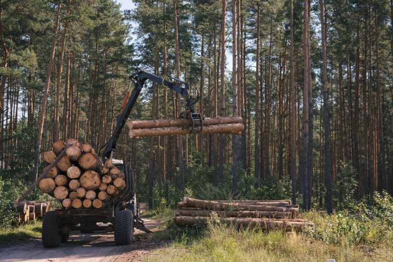 A tractor in a forest, transferring a pile of cut tree logs onto a flatbed.