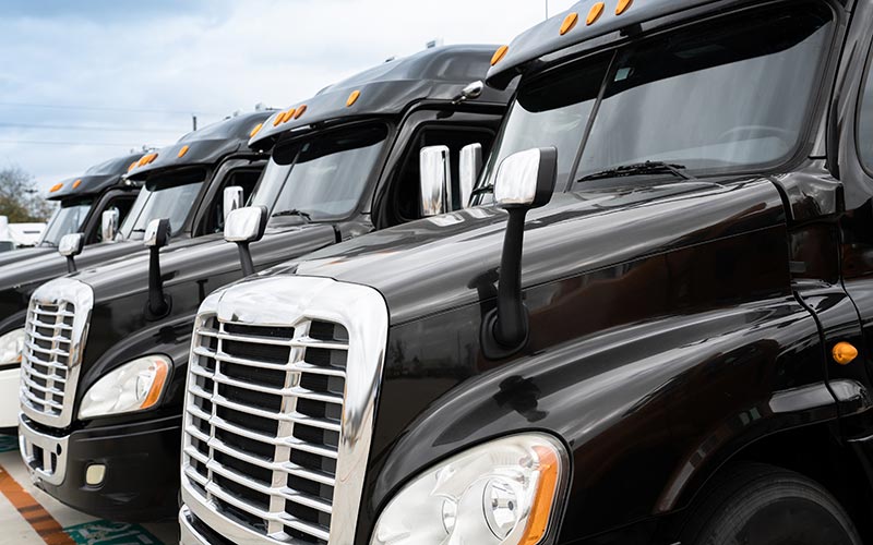 A line of 18-wheeler semi-trucks.