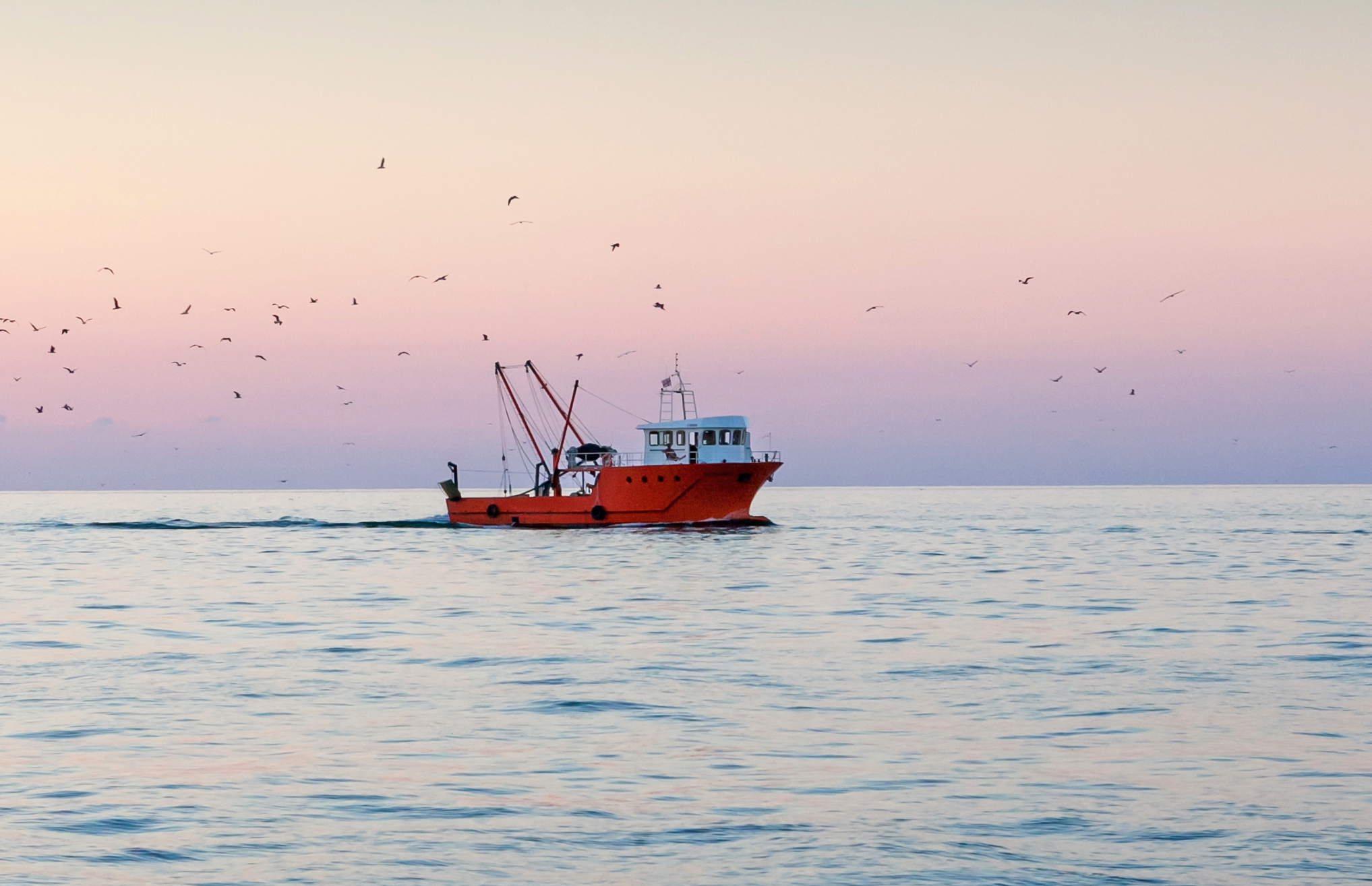 A fishing ship sailing across the water, backlit by a pink sunrise.