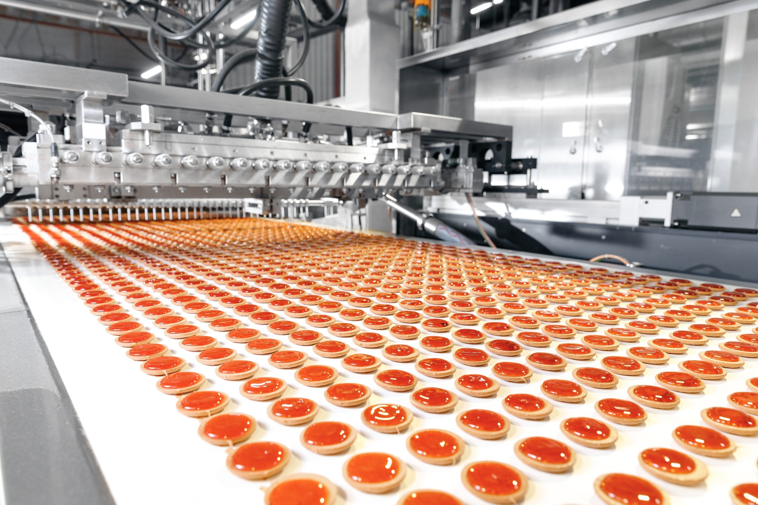 A food conveyer belt in a factory, transporting dozens of jelly pastries.