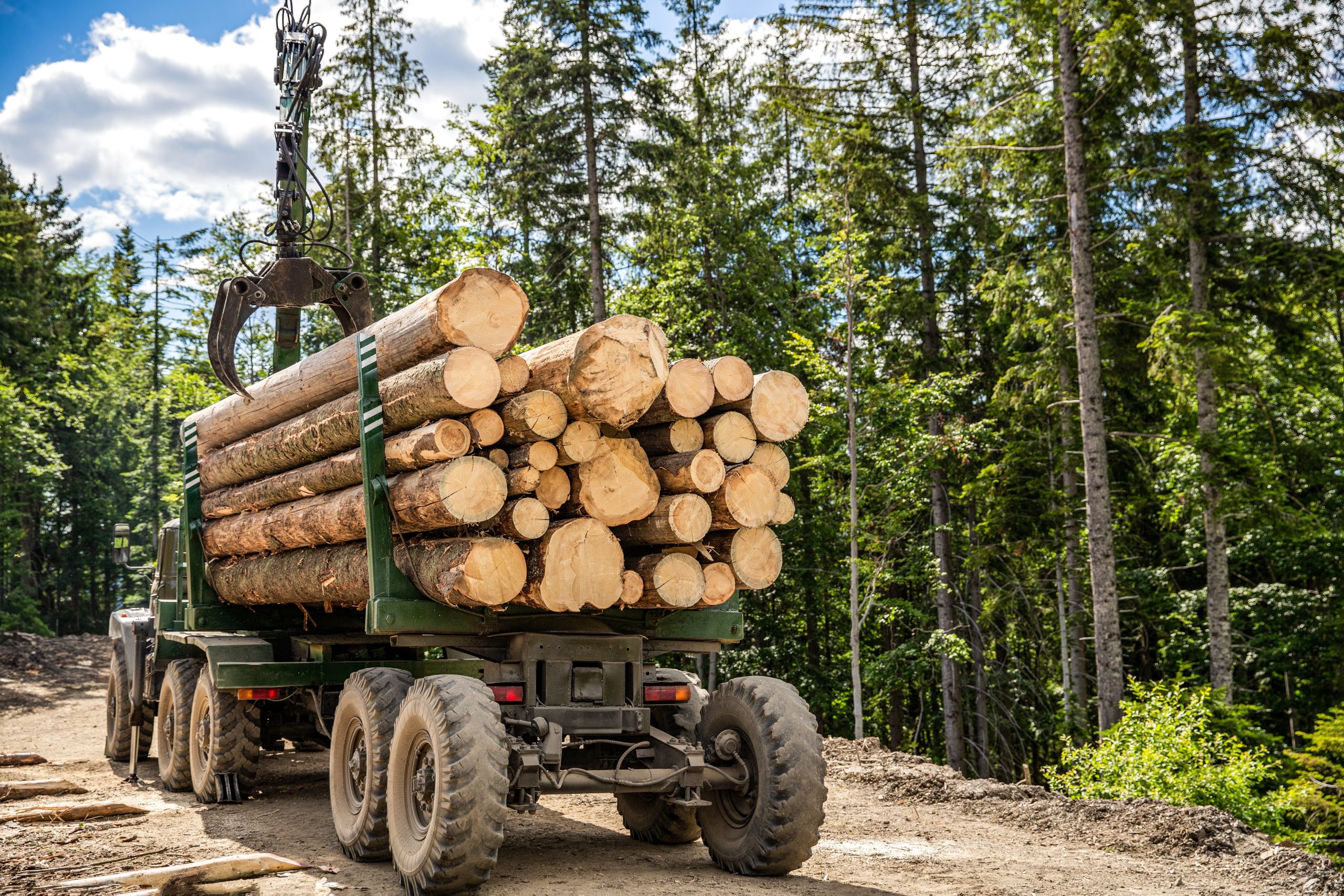 A truck loading logs in a forest.