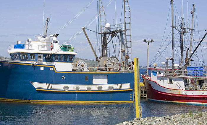 marine diesel and bunker fuel