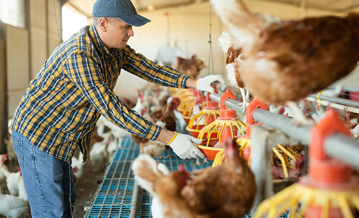 agriculture