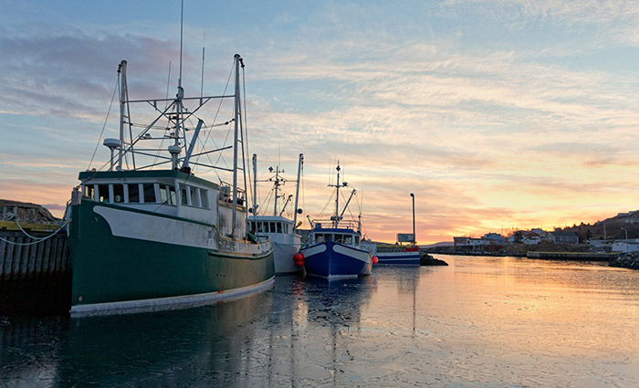 marine lubricants