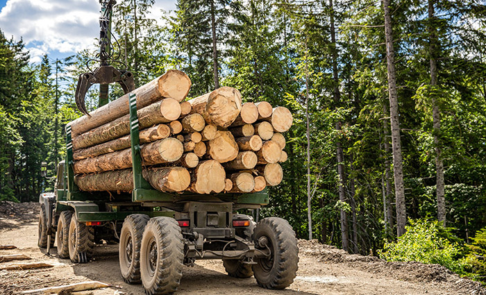 mining and forestry